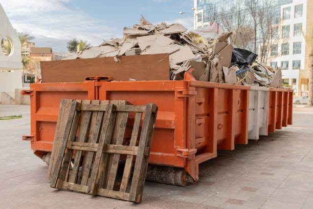 Yard Cleanup Services in Sans Souci, SC