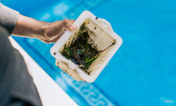 Best Estate Cleanout Services  in Sans Souci, SC